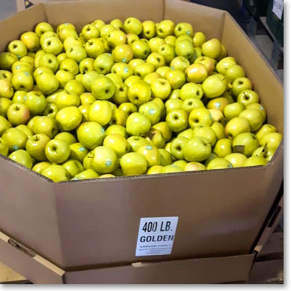 Golden-Delicious-Bagged-Apples